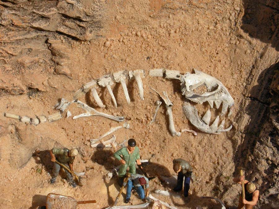 image-gallery-dinosaur-dig